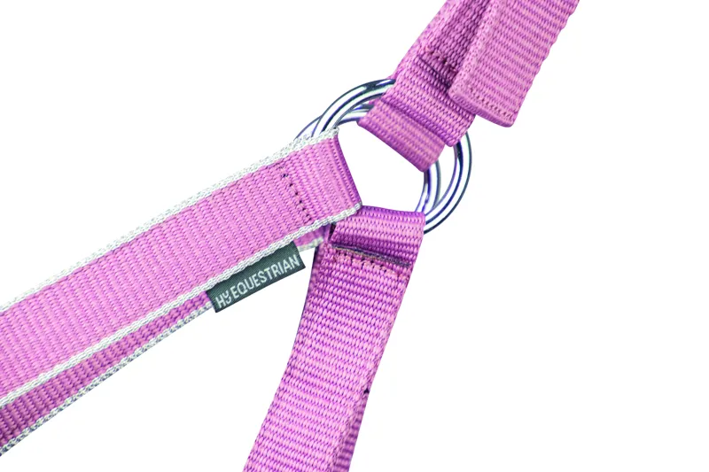 Hy Equestrian Synergy Head Collar and Lead Rope - Grape/Silver-1